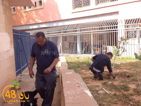 modahama shamela j3h (5).JPG